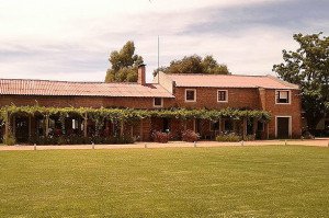 Um passeio pela vinícola-boutique Bouza, que fica próxima a Montevidéu