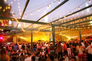 Bar e importadora lançam panetones com cerveja para as festas de fim de ano