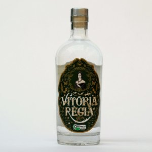 VITORIA REGIA GIM