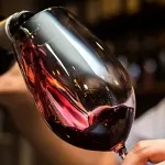 O melhor do Vale dos Vinhedos, na Serra Gaúcha, em 7 perguntas e respostas