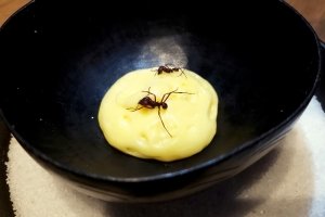 Restaurante de cozinha amazônica mais premiado de Manaus, Banzeiro chega a SP