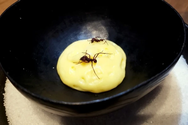 Restaurante de cozinha amazônica mais premiado de Manaus, Banzeiro chega a SP