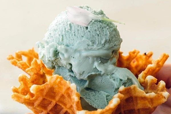Gelato