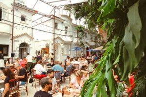 Imperdível, Elevado Conselheiro combina vinhos em taça, som de vinil e atmosfera cool