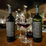 Taste and Fly Vinhos conquista duas medalhas de ouro na Grande Prova Vinhos do Brasil