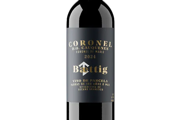 Chega ao Brasil melhor vinho tinto de 2026 pelo Guia Descorchados