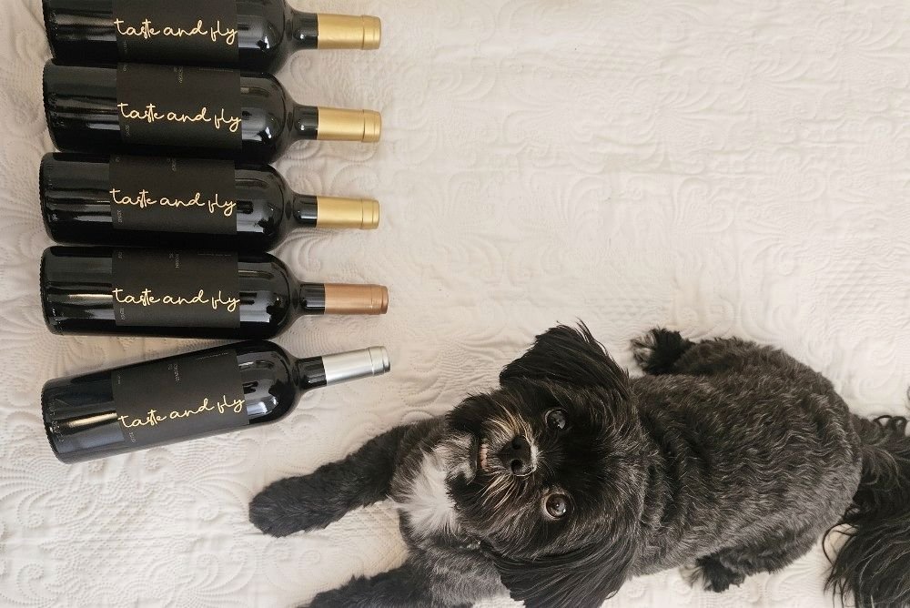 Vinho Noir 2021 Foto 20 — Novo rótulo Taste and Fly Vinhos, Noir 2021 celebra um cachorrinho que deixou