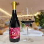 Novo rótulo Taste and Fly Vinhos, Noir 2021 celebra um cachorrinho que deixou saudade