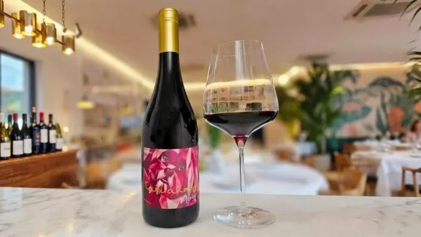 Novo rótulo Taste and Fly Vinhos, Noir 2021 celebra um cachorrinho que deixou saudade